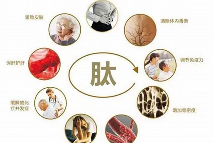 落地生根用什么肥料好呢