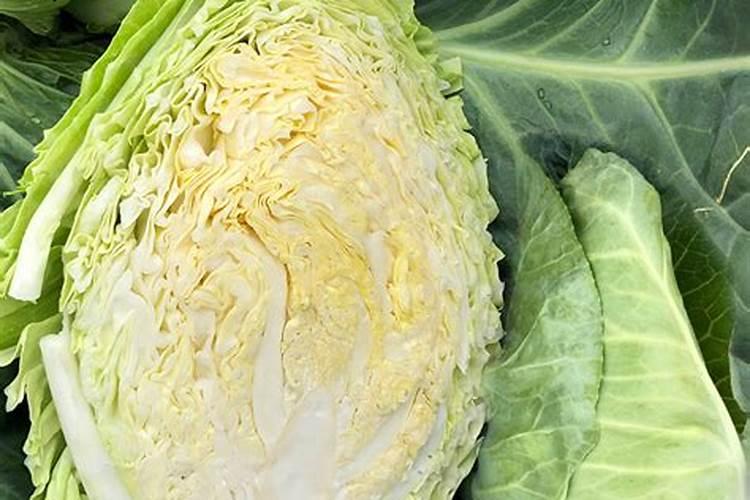 大面积种植小白菜,在追肥时该如何选择肥料？