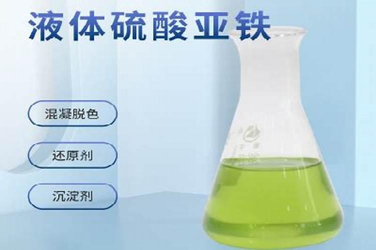 一帆风顺水培叶子发黄怎么办