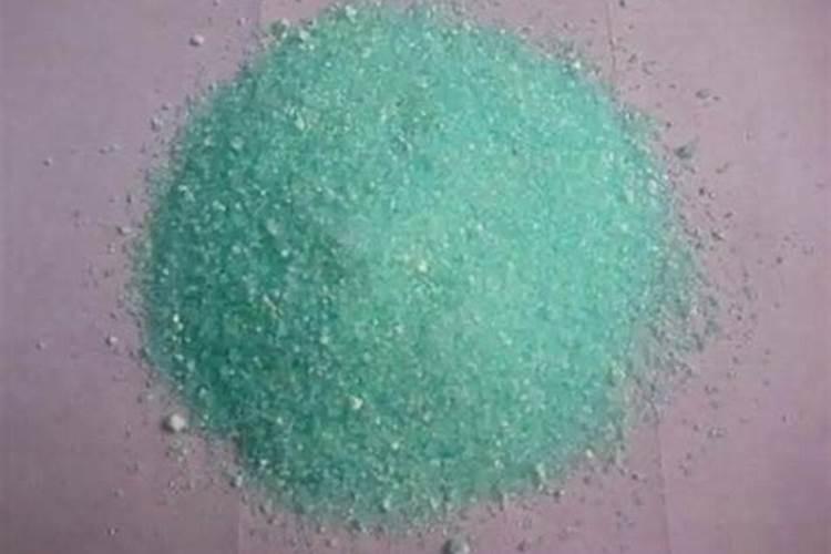 花的营养肥料有哪些