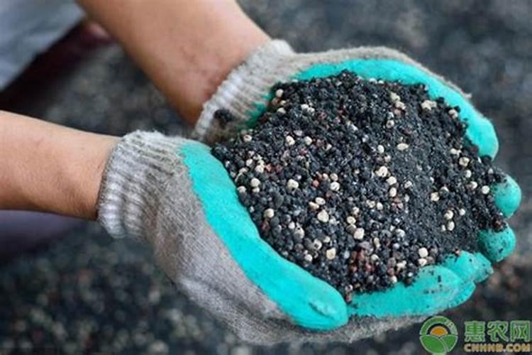 肥料放在地里多久失效啊