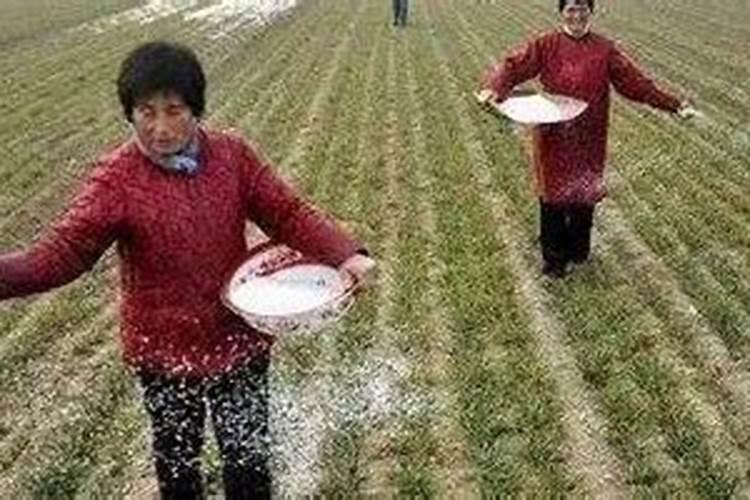 复合肥撒下去多久能撒种子？
