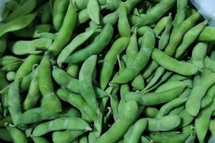 种植毛豆需要施什么肥