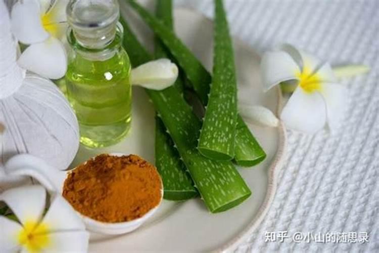 芦荟如何用施肥