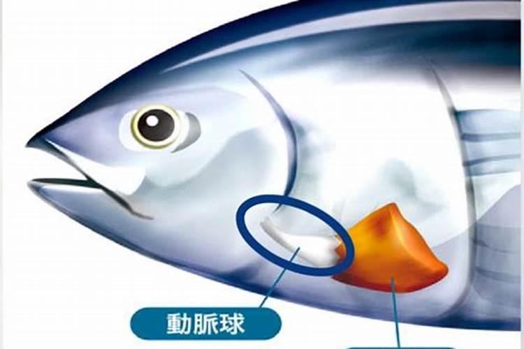 安基酸给果树打药稀释多少