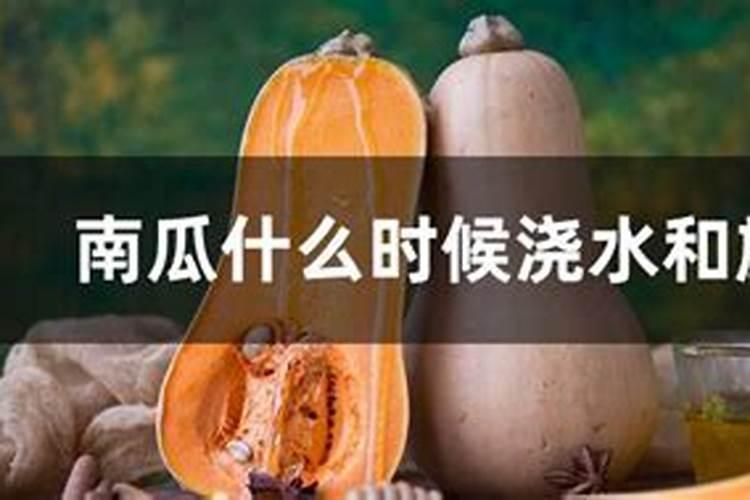 果树生根促根用什么效果最好？