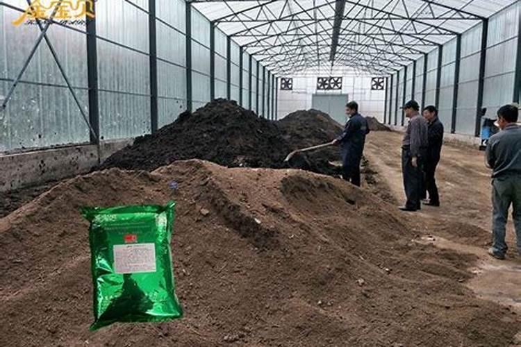 有机肥正确发酵方法