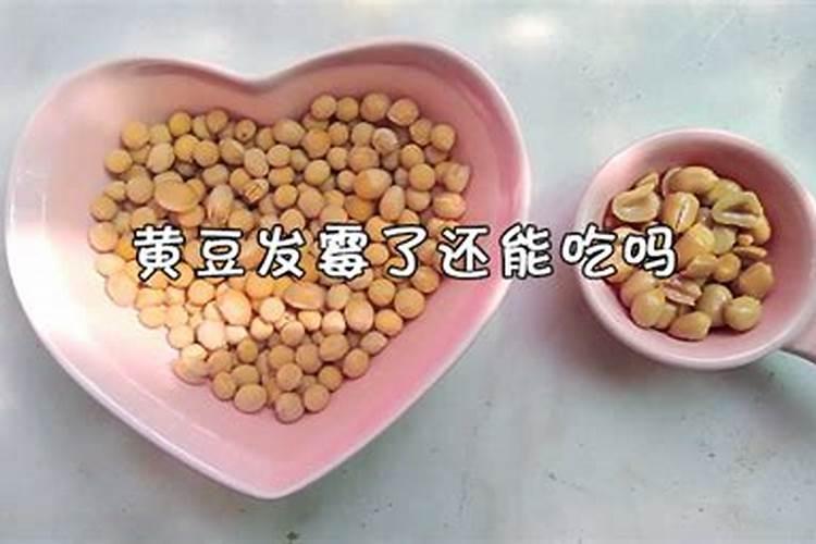 臭黄豆水是氮肥是磷肥 发酵后属于什么肥