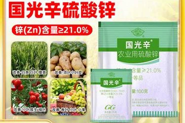 我想把路上的蓝莓,在到暖棚里什么时候载好