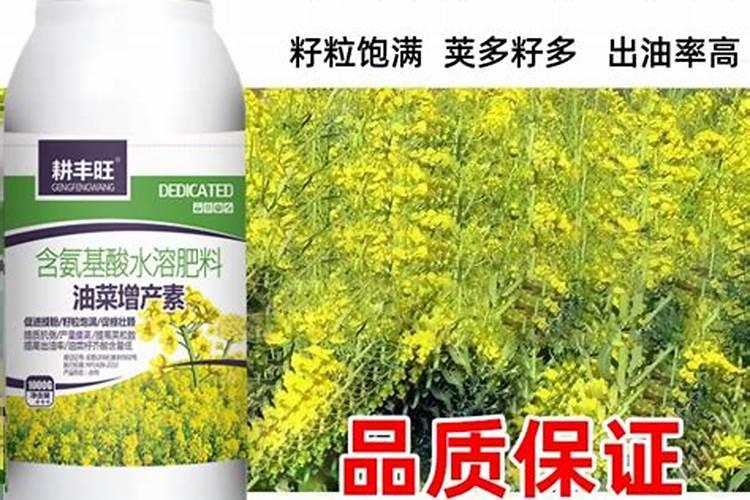 花芽分化用什么叶面肥