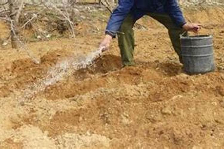 氯化钾肥的正确使用方法