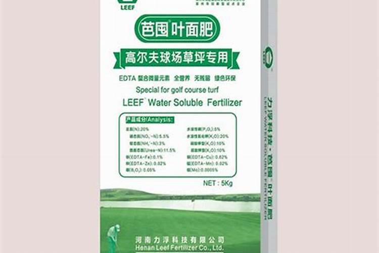 草坪怎么养护管理