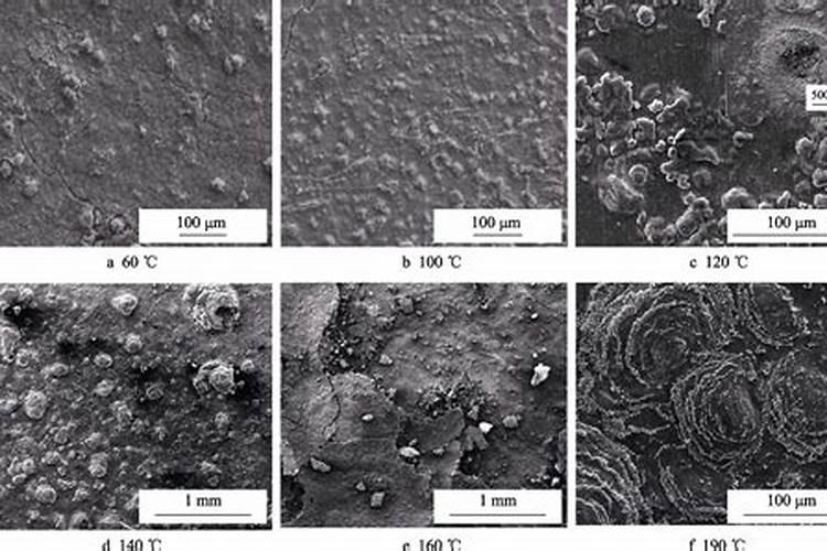 新疆双龙腐植酸有限公司的产品与服务