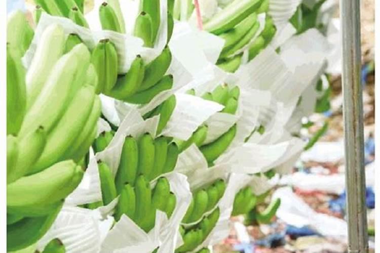 香蕉皮做花肥含氮磷钾哪种多
