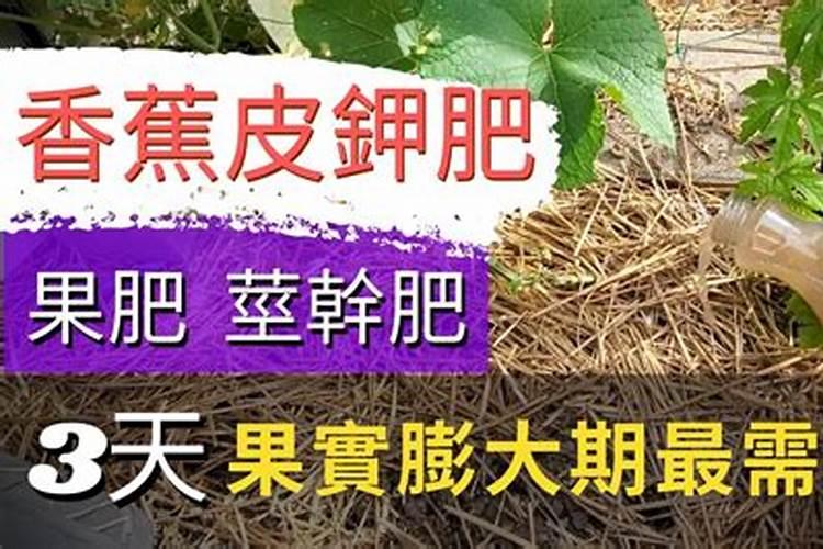 香蕉皮做花肥含氮磷钾哪种多 香蕉皮做花肥适合什么花