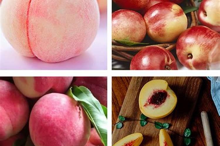 桃树叶面肥如何用磷酸二氢钾