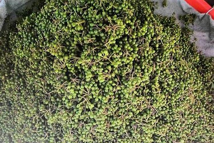 花椒变红最快的方法,所需时间周期是多久