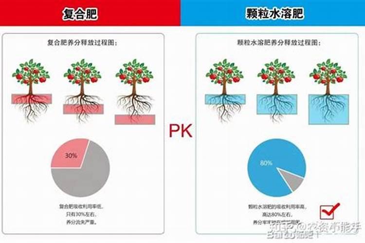 辣椒不能和哪些蔬菜挨着种？
