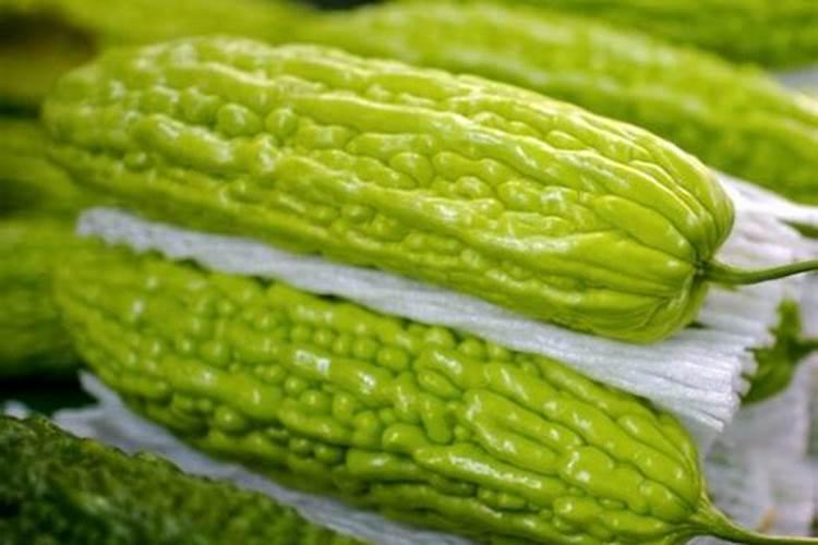 苦瓜打什药叶肥厚好