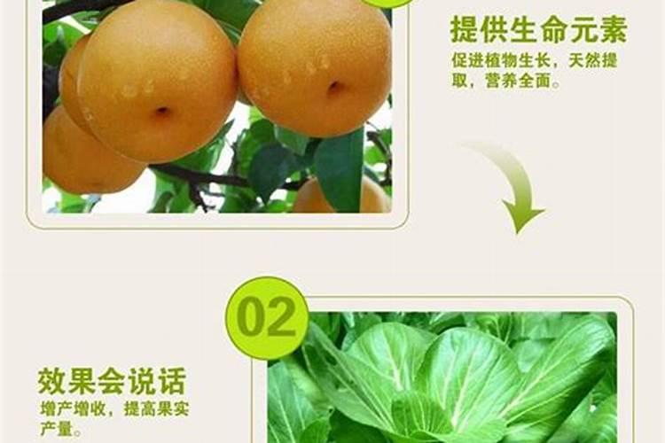 关于云南省磷矿的介绍有哪些？