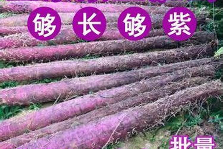 种植山药氮肥什么时候施磷肥什么时候施钾肥什么时候施