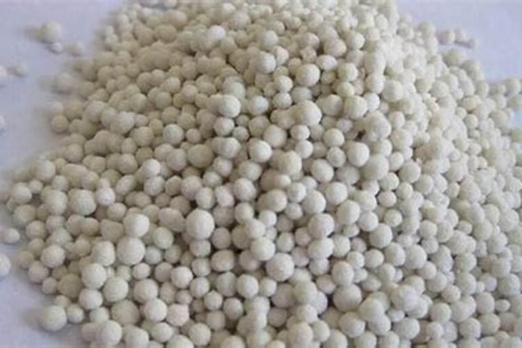 4本禁欲系男主文,他清冷自持,不近女色,却宠她到无法无天!