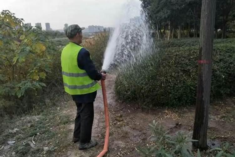 草莓露天过冬最佳方法