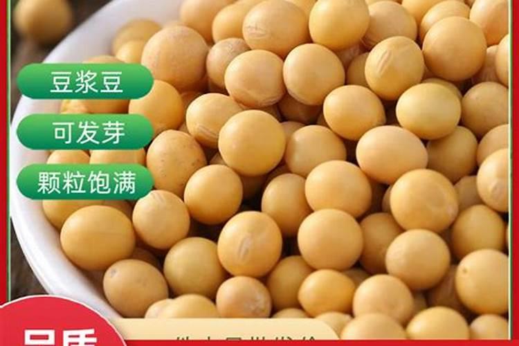 苹果树各个时期打什么药