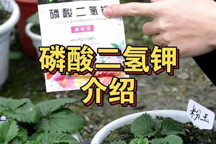 农民给农作物施草木灰是补充什么
