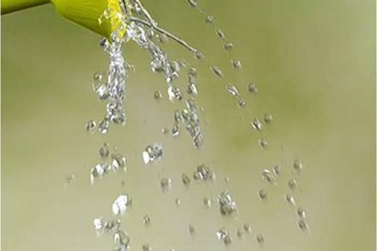 硝化菌怎么培育