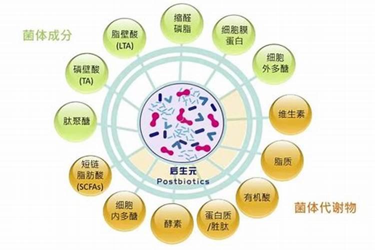 微生物有机肥在种植业上有什么好处和坏处