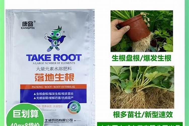 水培蔬菜生根肥有哪些？