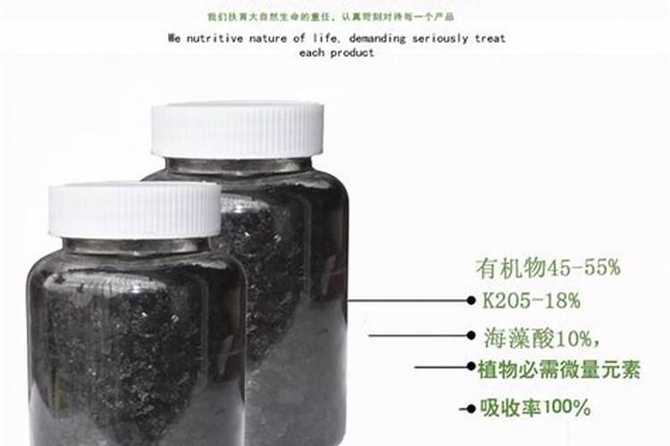 最好的海藻精是哪家