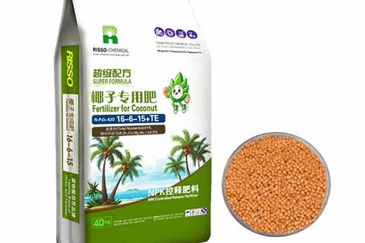 椰子树怎么施肥