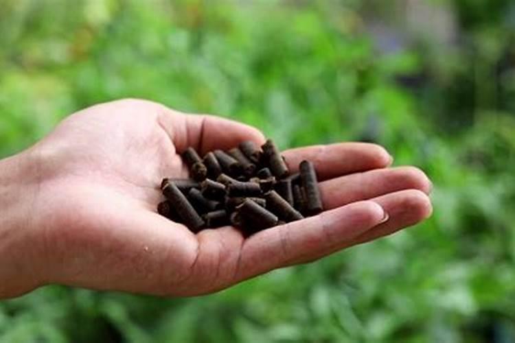 芝麻饼肥的十大害处