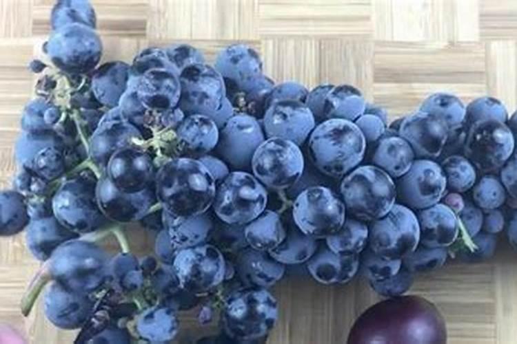 葡萄蓝莓含什么多,而且这种物质而且怕高温