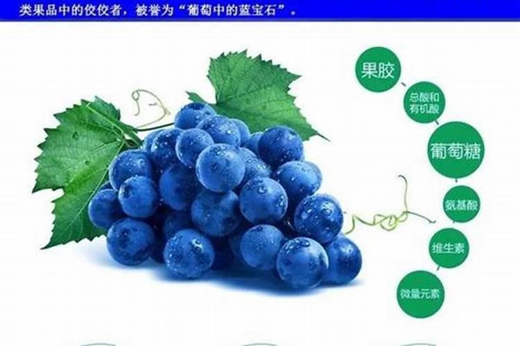 成长果树用什么钾肥