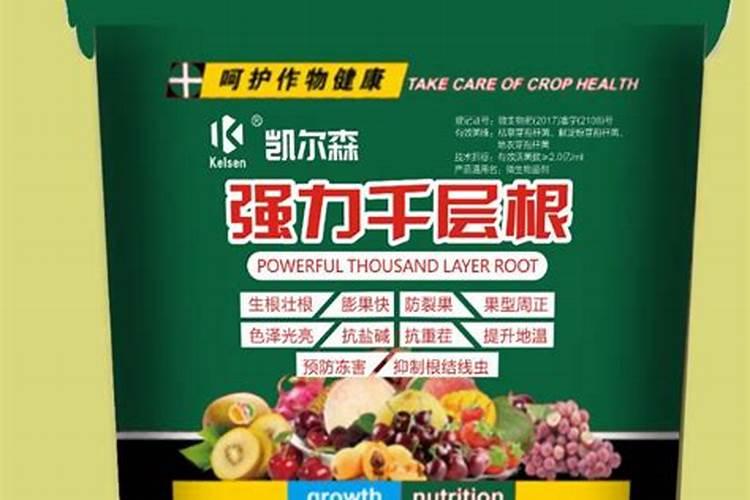 葡萄养根什么水溶肥好？答案在下文