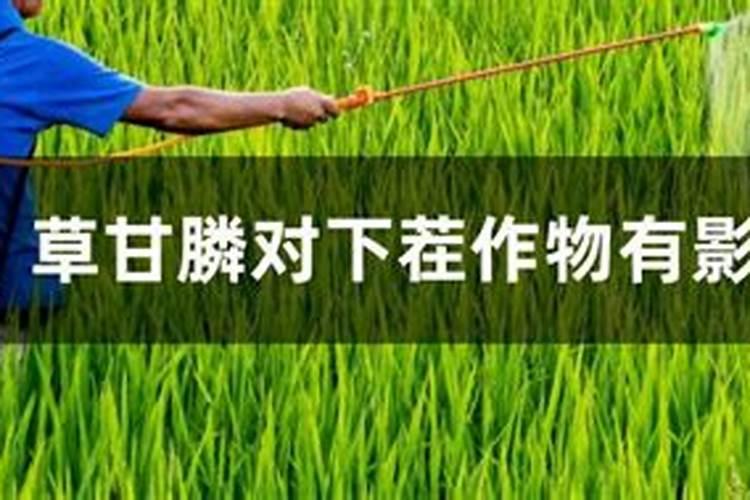 草甘膦加尿素有什么效果