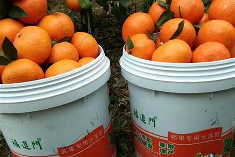 果树施肥时间和方法