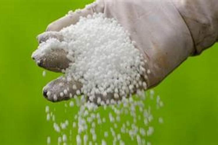 磷肥对哪些作物最好