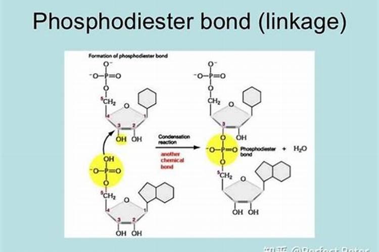 工业级磷酸有什么用