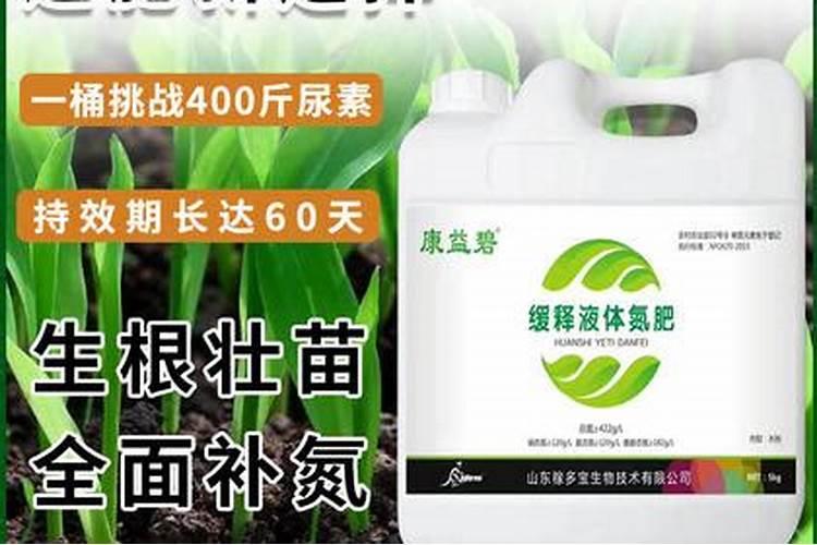 天女木兰树价格多少钱一棵？天女木兰种植技术有哪些？