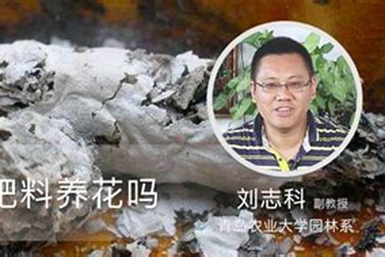 烟囱里面的烟灰可做花肥吗