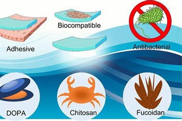 优肽氮肥主要功效是什么