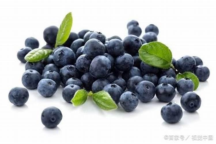 蓝莓结果后怎么施肥蓝莓开花前用什么肥好