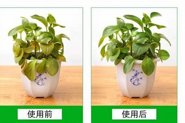 种山药可以用高塔硝基复合肥吗