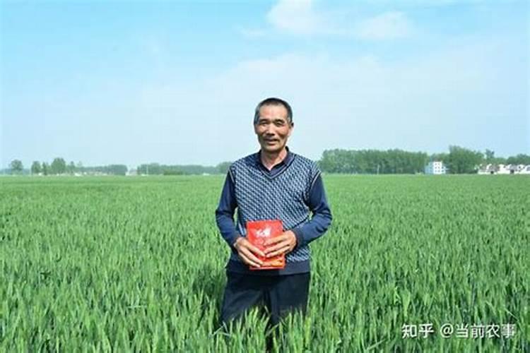 蔬菜缺氮症是由哪些原因形成的？