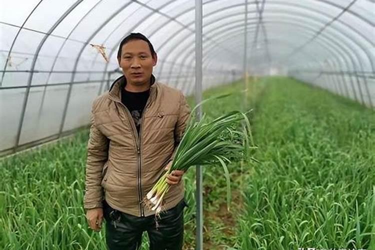 冬天能浇蒜苗吗