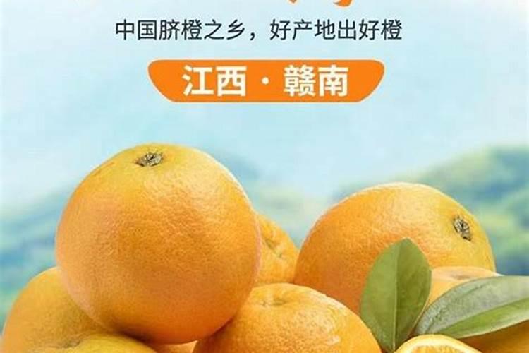 橙子树下放什么使橙子更好吃？